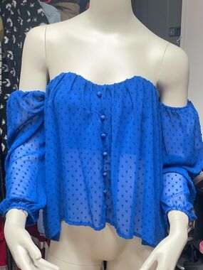 Vibrant Blue Sheer Blouse